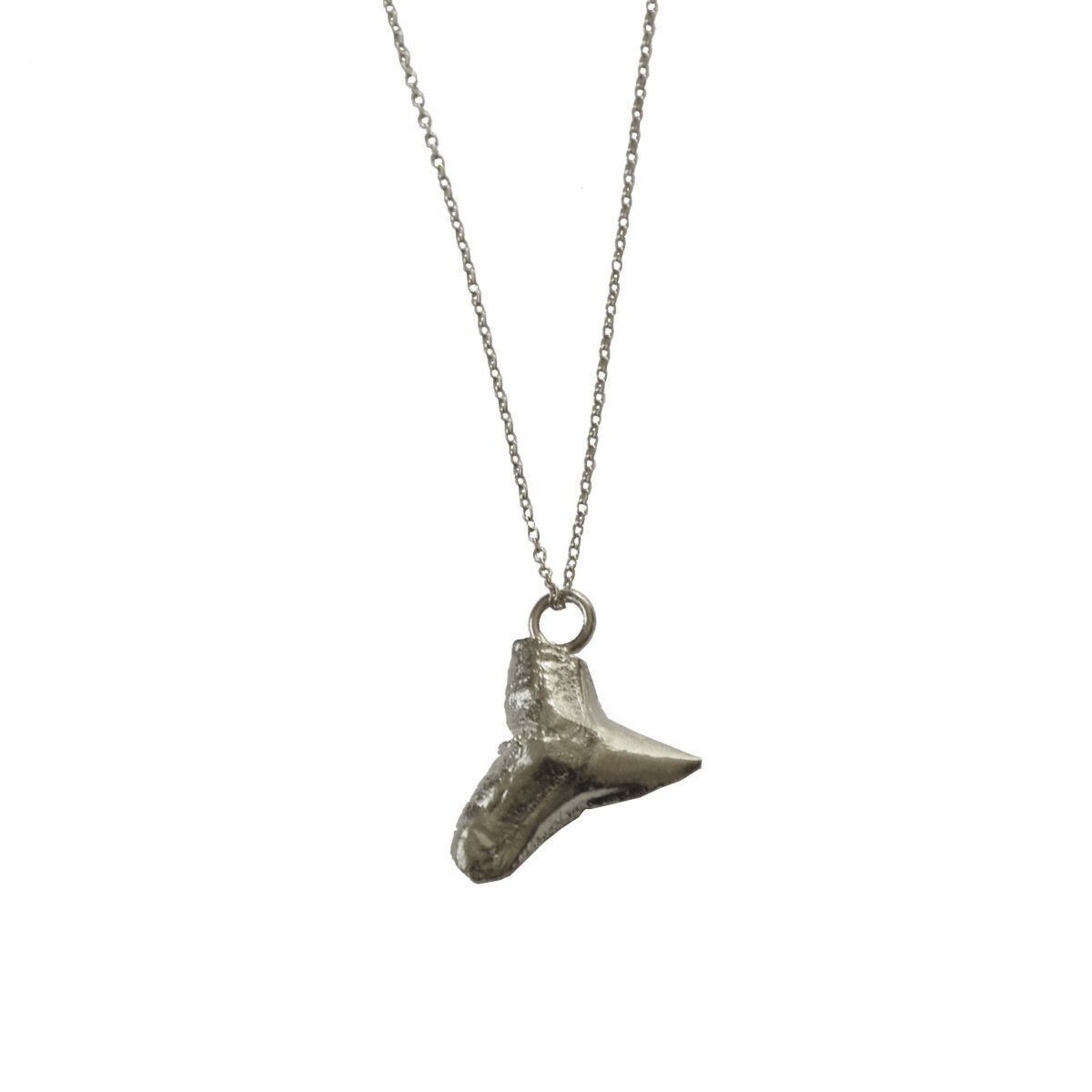 Shark Tusk necklace - 3